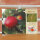 Ansichtskarte Rotfranche Apfel