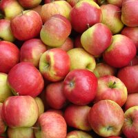 Bio-Äpfel 5kg-Steige / Topaz