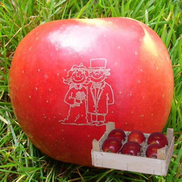 Liebesapfel rot / Brautpaar / 6 Äpfel Holzkiste / Kiste ohne Branding