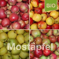 Mostäpfel 13kg krumme Früchte|truncate:60