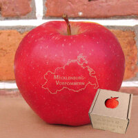 Mecklenburg-Vorpommern - Apfel mit Branding