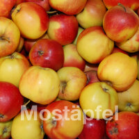 Mostäpfel, 13kg Bio-Gala-Äpfel Saftäpfel|truncate:60