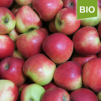 Bio-Apfel Knebusch 5kg|truncate:60