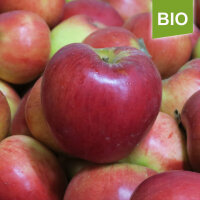 Bio-Apfel Knebusch 5kg