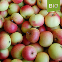 Auralia Bio-Äpfel 5kg|truncate:60