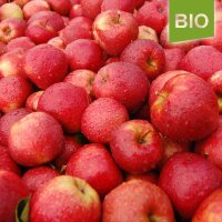 Bio-Äpfel Red Jonaprince 5kg|truncate:60