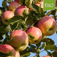 Bio-Apfel Piros