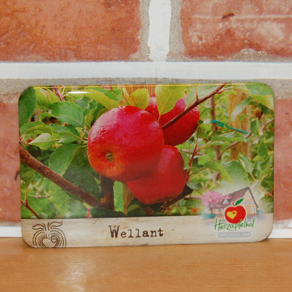 Magnet (Flexi) Wellant Apfel