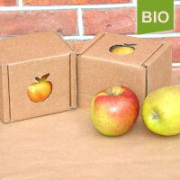 Bio-Apfel der alten Sorte Cox Orange|truncate:60