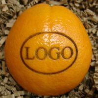 LOGO-Orange groß|truncate:60