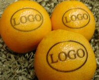 LOGO-Orange groß