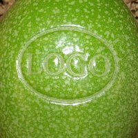 LOGO-Papaya