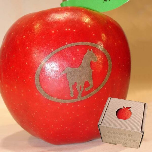 Apfel mit Branding Pferd