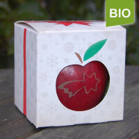 Bio-Sternapfel in Weihnachtsapfelbox|truncate:60