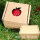 Roter Logo-Apfel Laser in 1er Apple Present Box Einzelverpackung