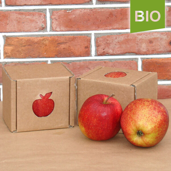 Bio-Apfel Einzelbox / Jonagored