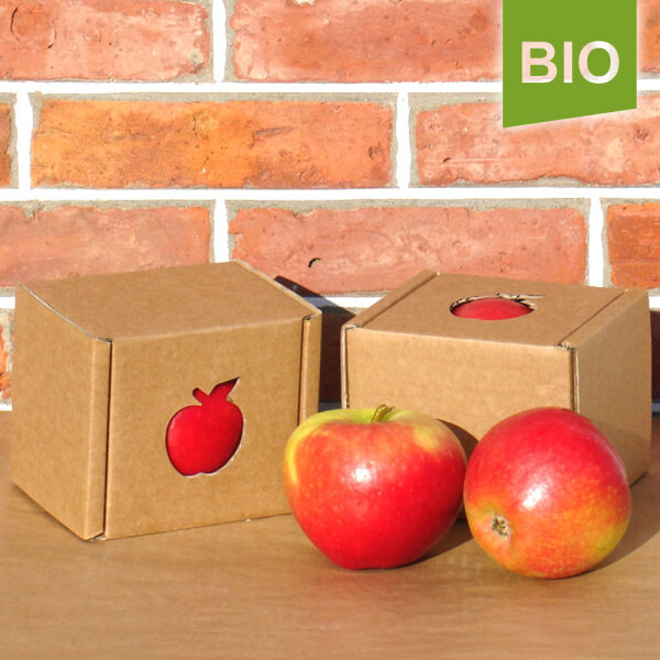 Bio-Apfel Einzelbox / Nicoter