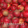 Mostäpfel, 13kg Bio-Red Jonaprince-Saftäpfel