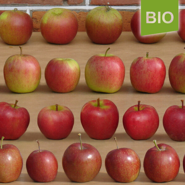 Rötliche Bio-Äpfel - DE-ÖKO-005