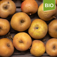 Zabergäu Renette Bio-Äpfel 5kg|truncate:60