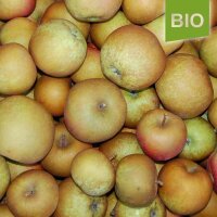 Zabergäu Renette Bio-Äpfel 5kg