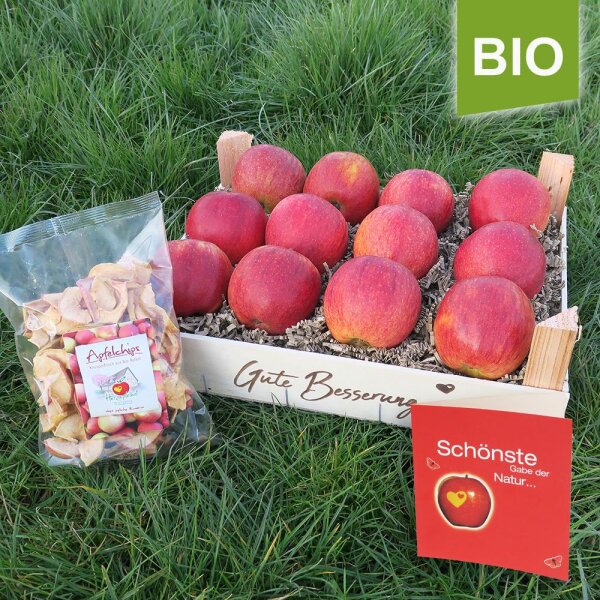 Gute Besserung Kiste rote Bio-Äpfel mit Apfelchips