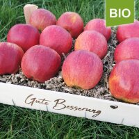 Gute Besserung Kiste rote Bio-Äpfel mit Apfelchips