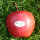 Kleiner roter Apfel mit farbigem PR-Label