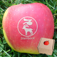 Apfel mit Branding Sternzeichen Steinbock|truncate:60