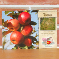 Ansichtskarte Topaz Apfel|truncate:60