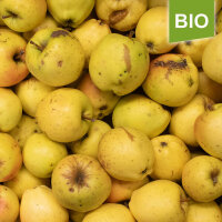 Mostapfel 13kg Bio-Gelber Bellefleur-Saftäpfel