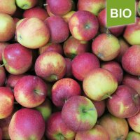 Bio Natyra Äpfel - coole Minis 5kg