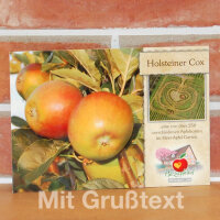 Grußkarte Holsteiner Cox Apfel|truncate:60