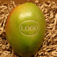 LOGO-Mango