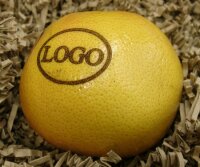 LOGO-Grapefruit