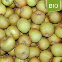Graue Herbstrenette Bio-Äpfel 5kg|truncate:60