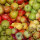 Mostäpfel 13kg krumme Früchte / gemischte Sorten