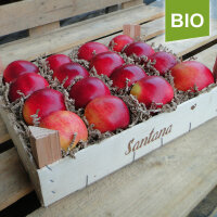 Santana Bio-Äpfel 2,5kg-Kiste