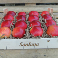 Santana Bio-Äpfel 3kg-Kiste