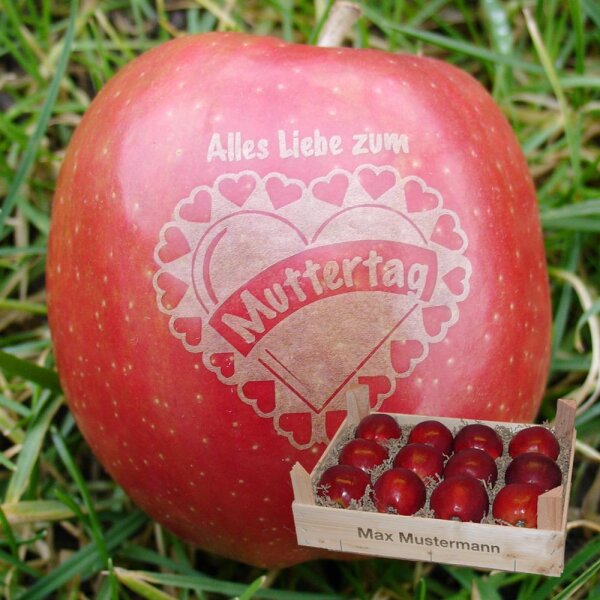Liebesapfel rot / Muttertag / 12 Äpfel Holzkiste / Kiste mit Namen
