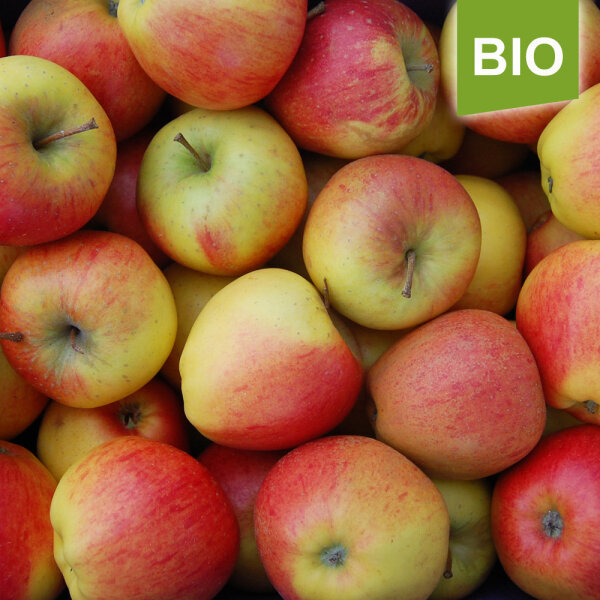 Pinova Bio-Äpfel 5kg