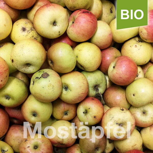 Mostäpfel 13kg Bio-Krügers Dickstiel-Saftäpfel