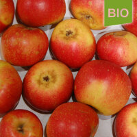 Goldrenette von Blenheim Bio-Äpfel 6kg|truncate:60