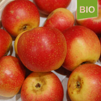 Goldrenette von Blenheim Bio-Äpfel 6kg