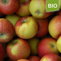 Natyra Bio-Äpfel 3kg-Kiste