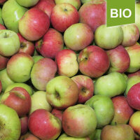 Ontario Bio-Äpfel 6kg|truncate:60