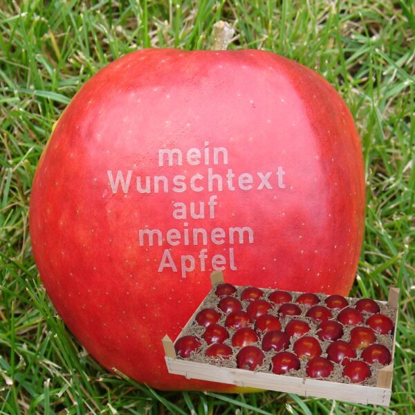 30 rote Äpfel mit Namen in Holzkiste ohne Branding