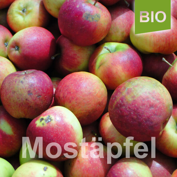 Mostäpfel, 13kg Bio-Natyra-Saftäpfel