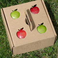 2 grüne und 2 rote Logo-Äpfel Laser in 4er Apple Present Box|truncate:60