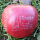 2 grüne und 2 rote Logo-Äpfel Laser in 4er Apple Present Box